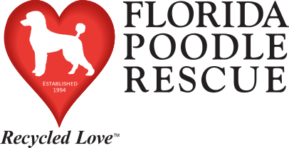 Florida Poodle Rescue