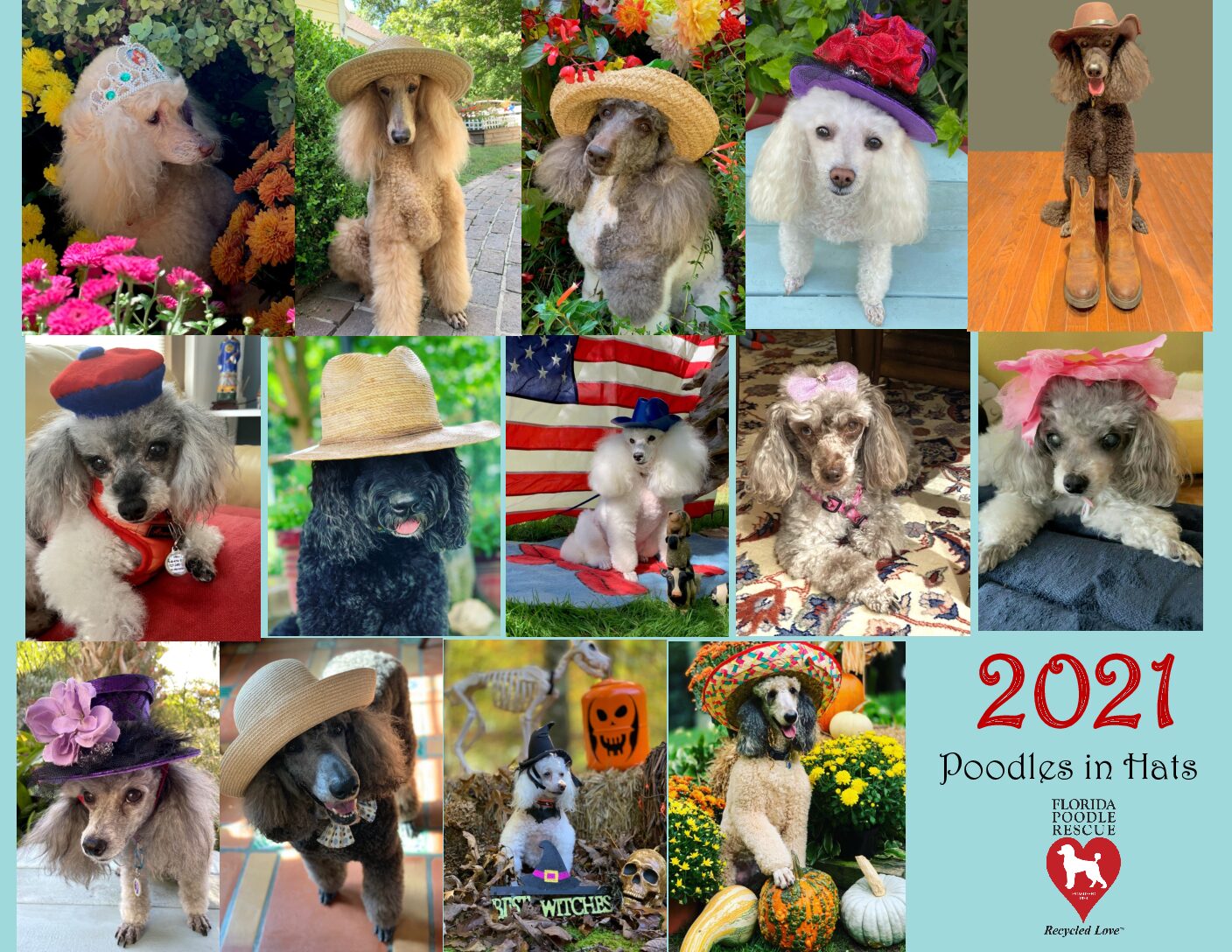 2021 calendar cover