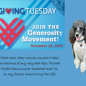 Giving Tuesday 2023