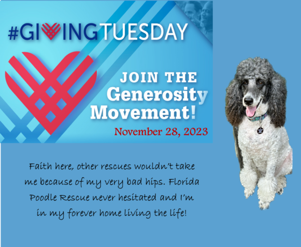 Giving Tuesday 2023