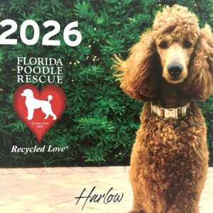 2026 Calendar - Beauty & Elegance